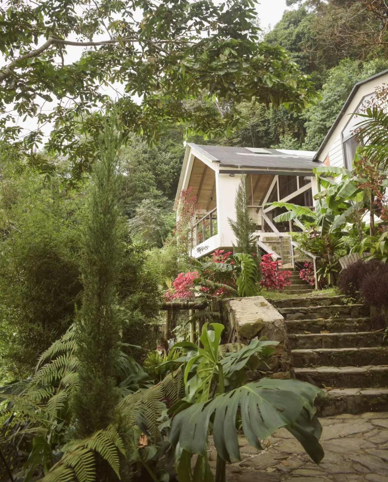 Minca Casa Las Nubes - Un Refugio Natural En La Sierra Nevada, Santa Marta, Col 外观 照片